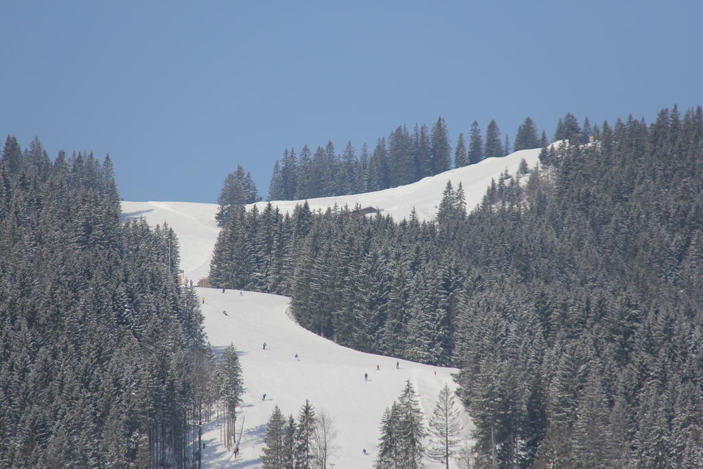 Berggasthof Willy Merkl Haus Spitzingsee Zewnętrze zdjęcie
